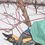 100_2087.jpg