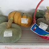 zucca beretta (piacentina), zucca moscata (francese), zucca delica zucca beretta (piacentina), zucca moscata (francese), zucca delica