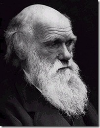darwin-32