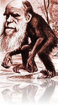 atbash-charles-darwin-ape
