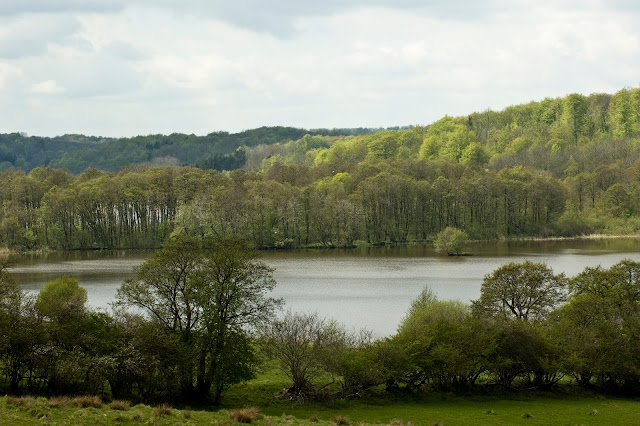 Vestenden af Haderslev Dam