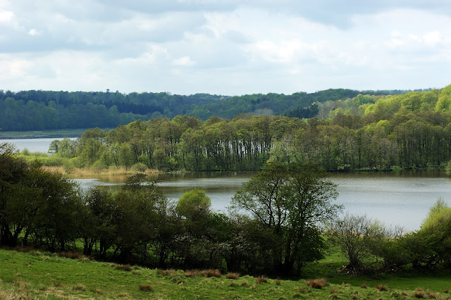 Vestenden af Haderslev Dam