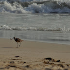 DSC_0786.JPG