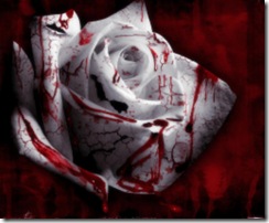 Blood_Roses_Wallpaper_1280x10242