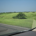 IMG_0023.JPG