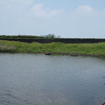 IMG_0139.JPG