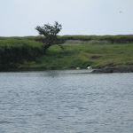 IMG_0140.JPG