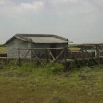 DSC00035.JPG