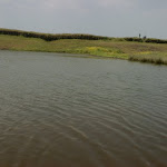 DSC00041.JPG