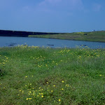 DSC00046.JPG