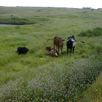 DSC00050.JPG