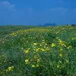 DSC00055.JPG