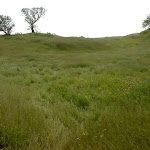 DSC00030.JPG