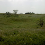 DSC00031.JPG