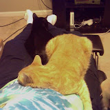 A view of Barrett's lap.