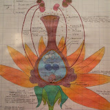 Excursions in Oklahoman Botany