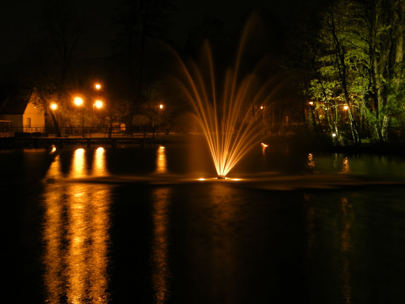 http://lh5.ggpht.com/_z3LwyfAOS40/S9isZCkYxYI/AAAAAAAARrY/bPLD6q3UJs8/s800/DSCN3478.JPG