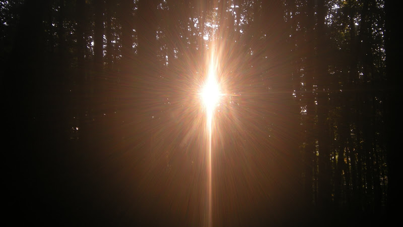 http://lh5.ggpht.com/_z3LwyfAOS40/SraEblfwV3I/AAAAAAAAIr8/aq5p6mYjGfk/s800/DSCN1696.JPG