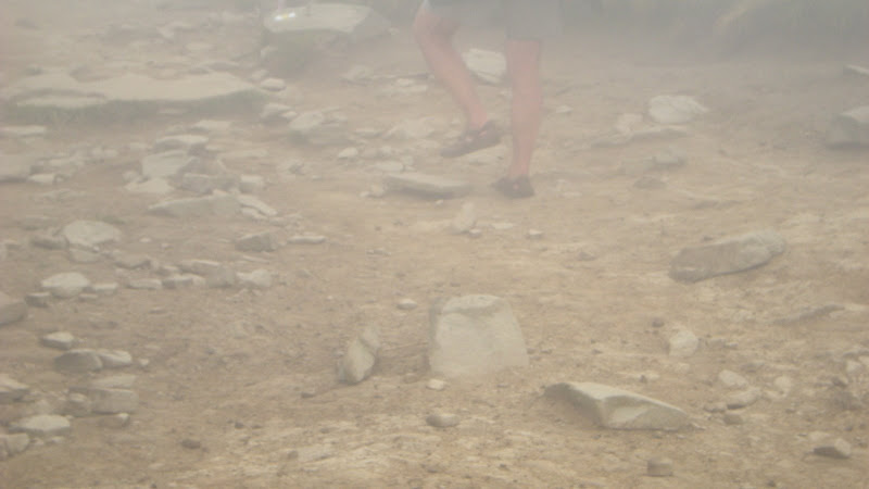 http://lh5.ggpht.com/_z3LwyfAOS40/SrcnJb0kz5I/AAAAAAAAJCc/87uJ1oaqCGI/s800/DSCN1684.JPG