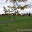  &ndash; Heritage Hills Park, Mississauga