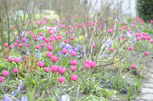 _20100425_131716