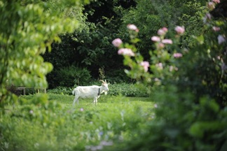 Claus_20100614_171339