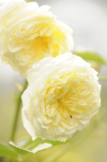 claus20090911_144642