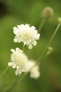claus20090827_053840