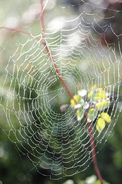 20100913_071629