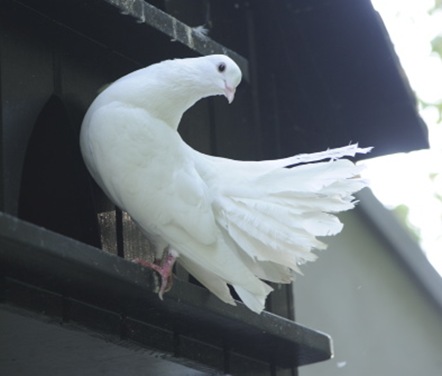 Claus20100905_065235