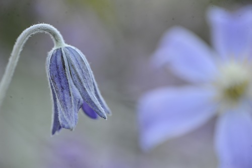 20100905_130028