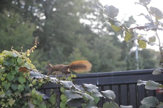 claus20100919_143446_01
