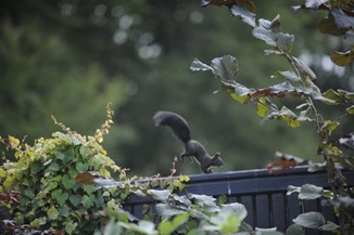 claus20100919_141333_01