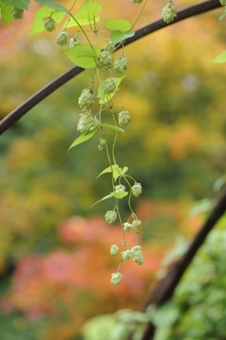 claus20101005_090707