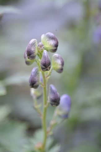 20101008_094247