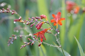 20101019_094018