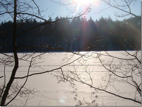 clip_image001