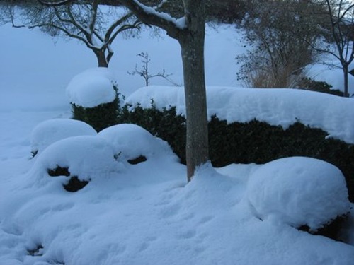 vinter 2010 047