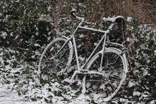 IMG_5702_Cykel