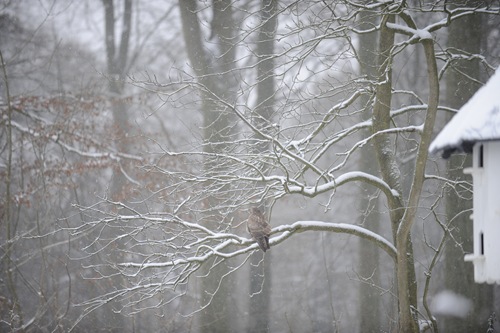20101218_132344