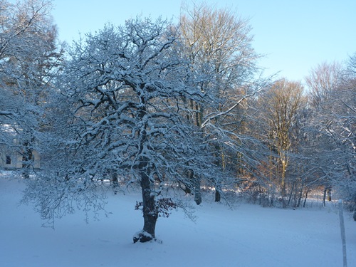 silkeborg bad
