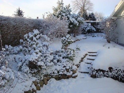 Vinter 002