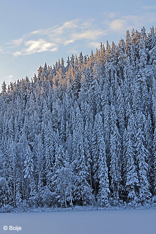 Norrland Norrland