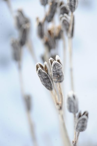 claus20101222_094443