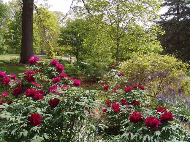 [01-big[3].jpg]