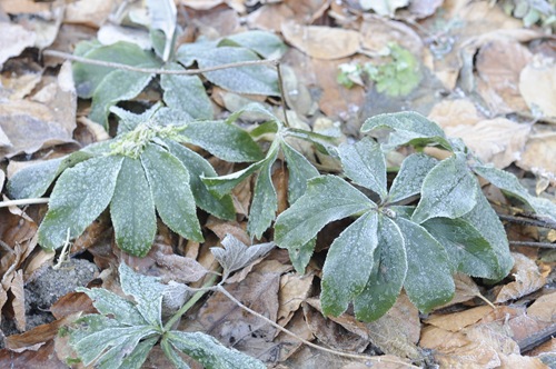 20110127_093959