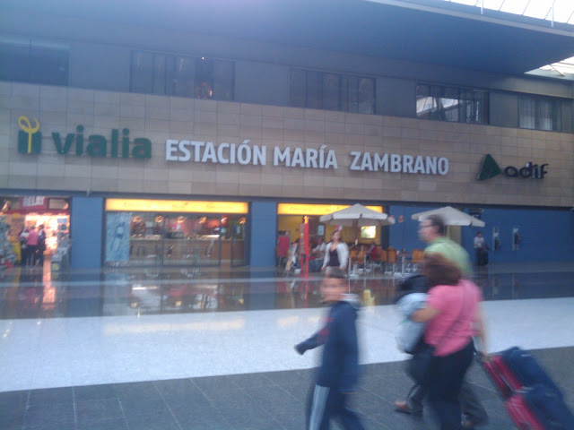 Estación de trenes de Málaga - ZAMBRANO