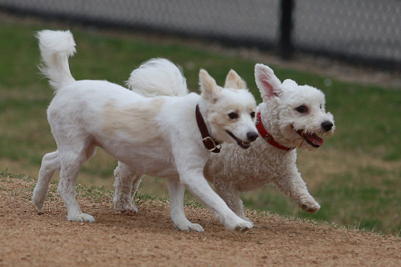 IMAGE: http://lh5.ggpht.com/_z5C-Yc-BZ5Y/SYEt3RHq3VI/AAAAAAAAALg/ewDgwmxz-zw/s800/IMG_3189.jpg