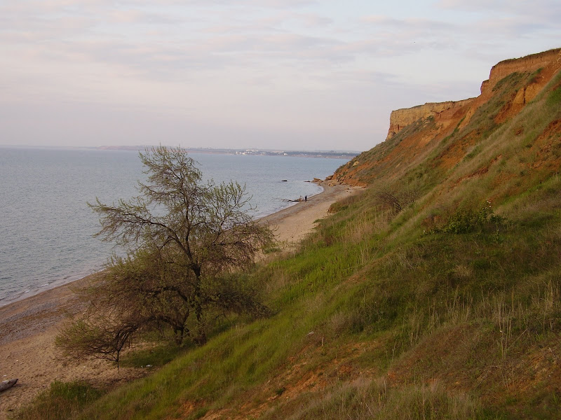 Зображення