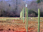  horse fencing